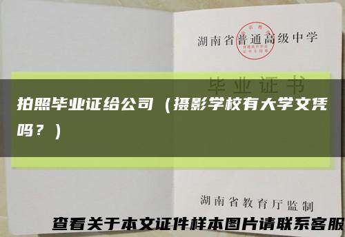 拍照毕业证给公司（摄影学校有大学文凭吗？）缩略图