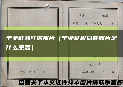 毕业证和红底照片（毕业证根同底照片是什么意思）缩略图