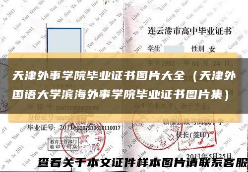 天津外事学院毕业证书图片大全（天津外国语大学滨海外事学院毕业证书图片集）缩略图