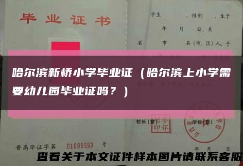 哈尔滨新桥小学毕业证（哈尔滨上小学需要幼儿园毕业证吗？）缩略图