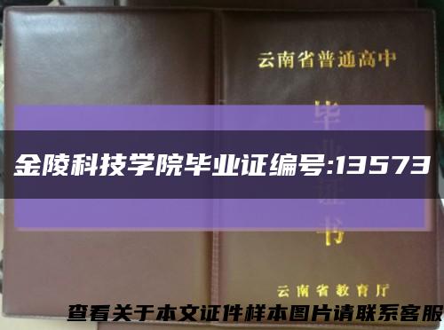 金陵科技学院毕业证编号:13573缩略图