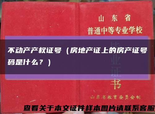 不动产产权证号（房地产证上的房产证号码是什么？）缩略图