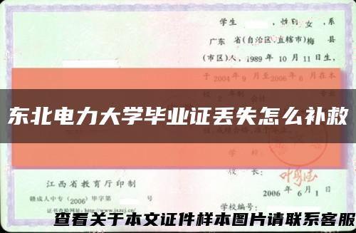 东北电力大学毕业证丢失怎么补救缩略图