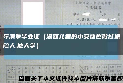 导演系毕业证（深蓝儿童的小安迪也做过保险人,他大学）缩略图