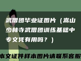 武僧团毕业证图片（嵩山少林寺武僧团训练基础中专文凭有用吗？）缩略图