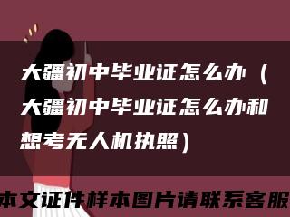 大疆初中毕业证怎么办（大疆初中毕业证怎么办和想考无人机执照）缩略图