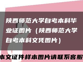 陕西师范大学自考本科毕业证图片（陕西师范大学自考本科文凭图片）缩略图