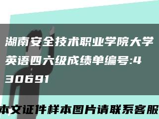 湖南安全技术职业学院大学英语四六级成绩单编号:430691缩略图