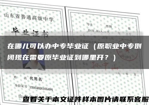 在哪儿可以办中专毕业证（原职业中专倒闭现在需要原毕业证到哪里开？）缩略图