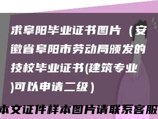 求阜阳毕业证书图片（安徽省阜阳市劳动局颁发的技校毕业证书(建筑专业)可以申请二级）缩略图