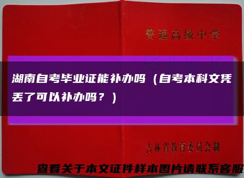 湖南自考毕业证能补办吗（自考本科文凭丢了可以补办吗？）缩略图