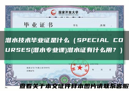 潜水技术毕业证是什么（SPECIAL COURSES(潜水专业课)潜水证有什么用？）缩略图