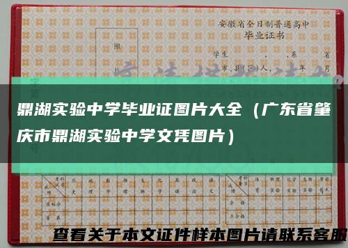 鼎湖实验中学毕业证图片大全（广东省肇庆市鼎湖实验中学文凭图片）缩略图