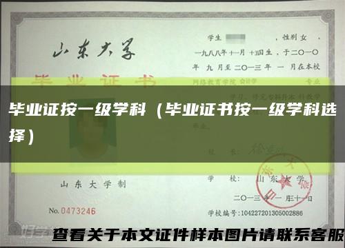 毕业证按一级学科（毕业证书按一级学科选择）缩略图