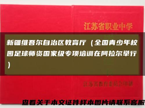 新疆维吾尔自治区教育厅（全国青少年校园足球师资国家级专项培训在阿拉尔举行）缩略图