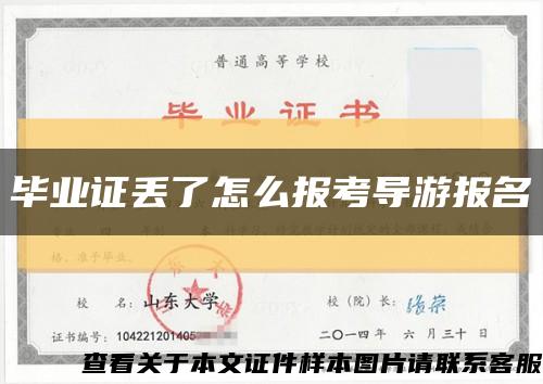 毕业证丢了怎么报考导游报名缩略图