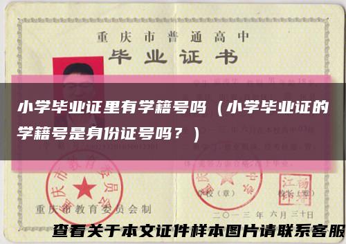 小学毕业证里有学籍号吗（小学毕业证的学籍号是身份证号吗？）缩略图