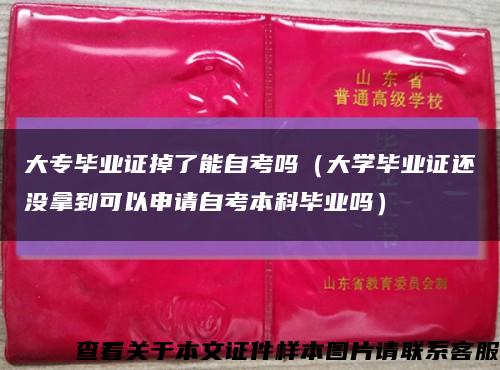 大专毕业证掉了能自考吗（大学毕业证还没拿到可以申请自考本科毕业吗）缩略图