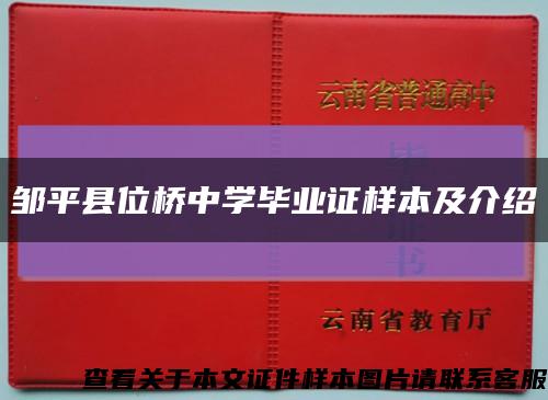 邹平县位桥中学毕业证样本及介绍缩略图