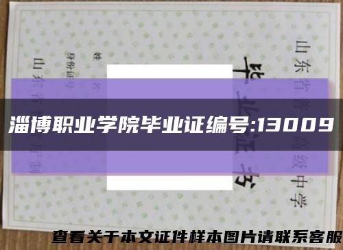 淄博职业学院毕业证编号:13009缩略图