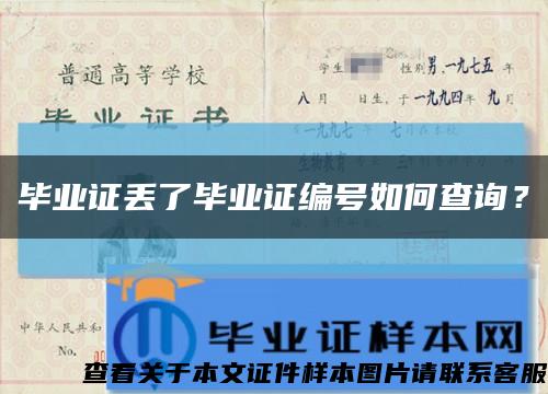 毕业证丢了毕业证编号如何查询？缩略图