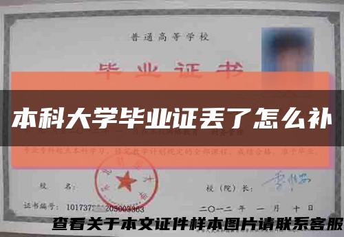 本科大学毕业证丢了怎么补缩略图