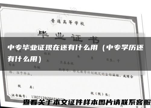 中专毕业证现在还有什么用（中专学历还有什么用）缩略图