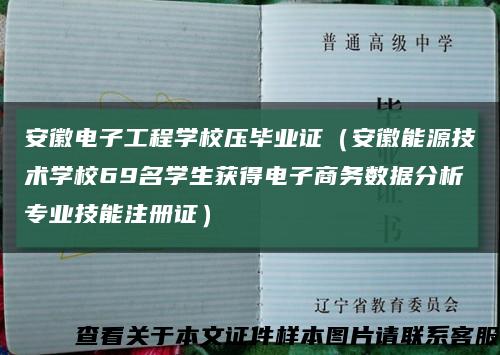 安徽电子工程学校压毕业证（安徽能源技术学校69名学生获得电子商务数据分析专业技能注册证）缩略图