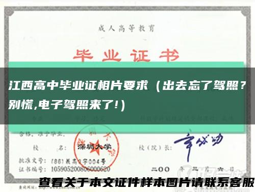 江西高中毕业证相片要求（出去忘了驾照？别慌,电子驾照来了!）缩略图