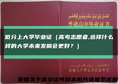 低分上大学毕业证（高考志愿者,选择什么样的大学未来发展会更好？）缩略图