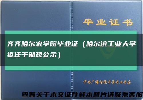 齐齐哈尔农学院毕业证（哈尔滨工业大学拟任干部现公示）缩略图