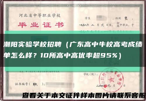 潮阳实验学校招聘（广东高中牛校高考成绩单怎么样？10所高中高优率超95%）缩略图