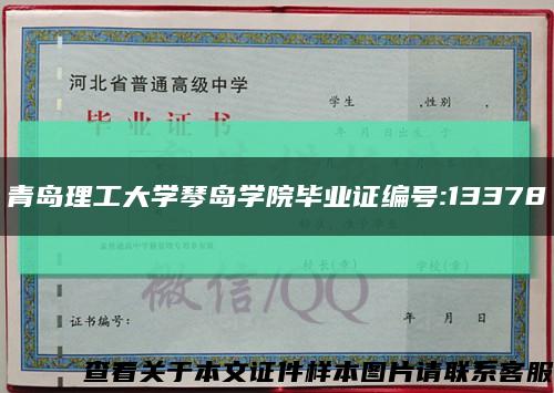 青岛理工大学琴岛学院毕业证编号:13378缩略图