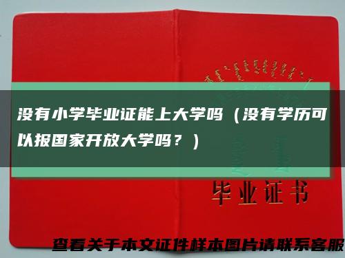 没有小学毕业证能上大学吗（没有学历可以报国家开放大学吗？）缩略图