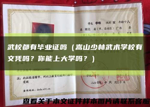 武校都有毕业证吗（嵩山少林武术学校有文凭吗？你能上大学吗？）缩略图