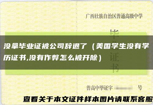 没拿毕业证被公司辞退了（美国学生没有学历证书,没有作弊怎么被开除）缩略图