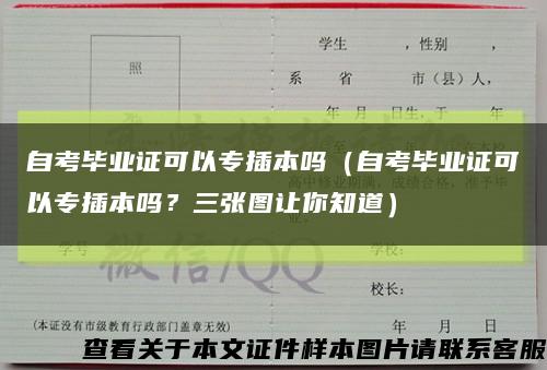 自考毕业证可以专插本吗（自考毕业证可以专插本吗？三张图让你知道）缩略图