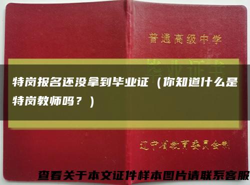 特岗报名还没拿到毕业证（你知道什么是特岗教师吗？）缩略图