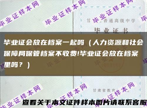 毕业证会放在档案一起吗（人力资源和社会保障局保管档案不收费!毕业证会放在档案里吗？）缩略图