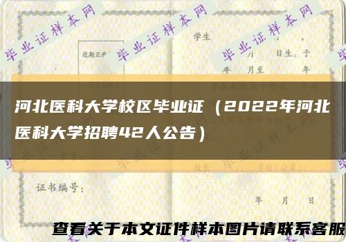 河北医科大学校区毕业证（2022年河北医科大学招聘42人公告）缩略图