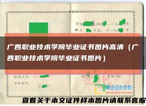 广西职业技术学院毕业证书图片高清（广西职业技术学院毕业证书图片）缩略图