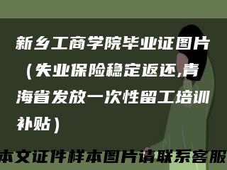 新乡工商学院毕业证图片（失业保险稳定返还,青海省发放一次性留工培训补贴）缩略图