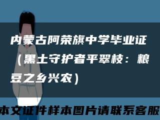 内蒙古阿荣旗中学毕业证（黑土守护者平翠枝：粮豆之乡兴农）缩略图