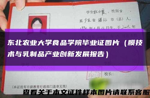 东北农业大学食品学院毕业证图片（膜技术与乳制品产业创新发展报告）缩略图