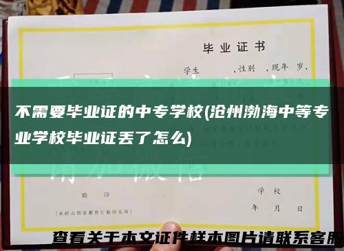 不需要毕业证的中专学校(沧州渤海中等专业学校毕业证丢了怎么)缩略图