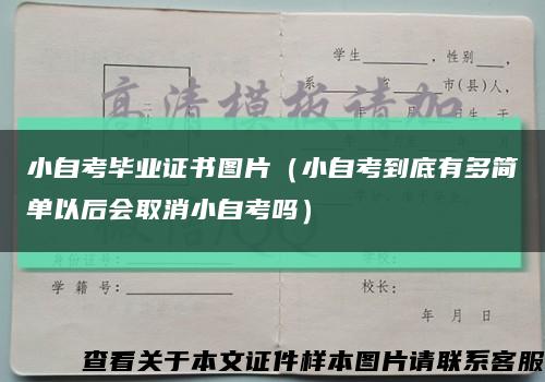 小自考毕业证书图片（小自考到底有多简单以后会取消小自考吗）缩略图