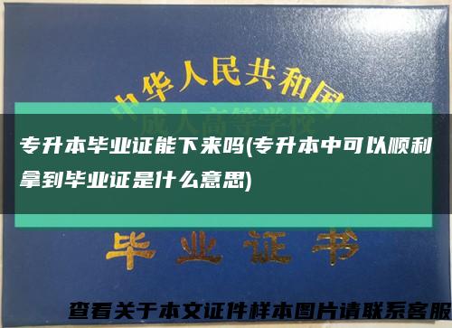 专升本毕业证能下来吗(专升本中可以顺利拿到毕业证是什么意思)缩略图