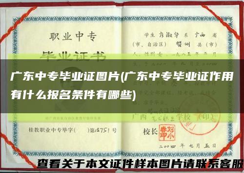 广东中专毕业证图片(广东中专毕业证作用有什么报名条件有哪些)缩略图