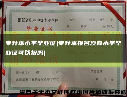 专升本小学毕业证(专升本报名没有小学毕业证可以报吗)缩略图