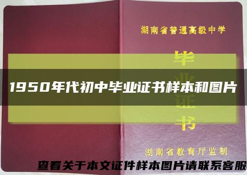 1950年代初中毕业证书样本和图片缩略图